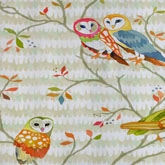 Betsy Olmsted家居生活